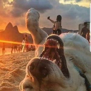 Meet your Posher, Walter